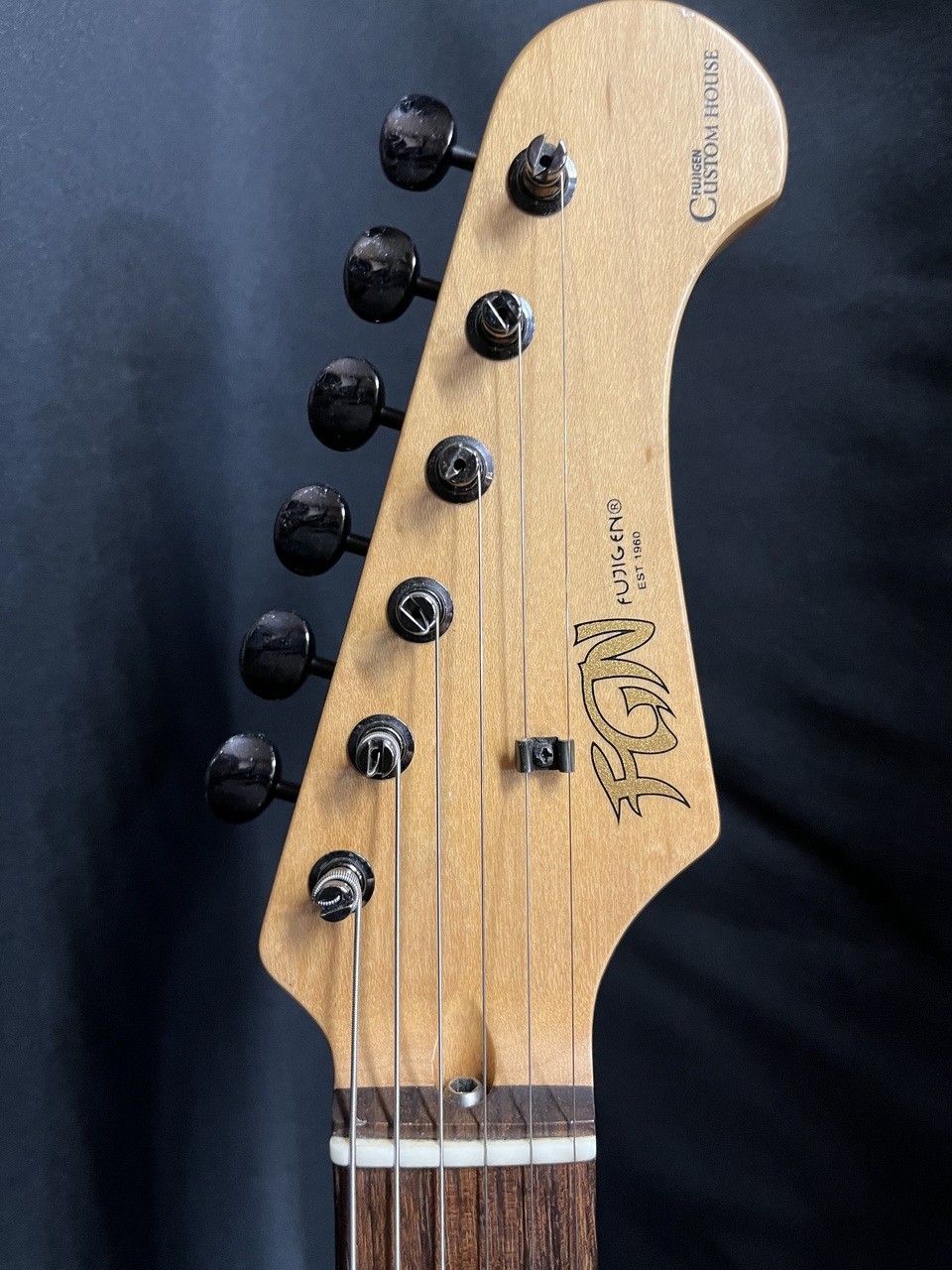 FUJIGEN FGN NCST CTM