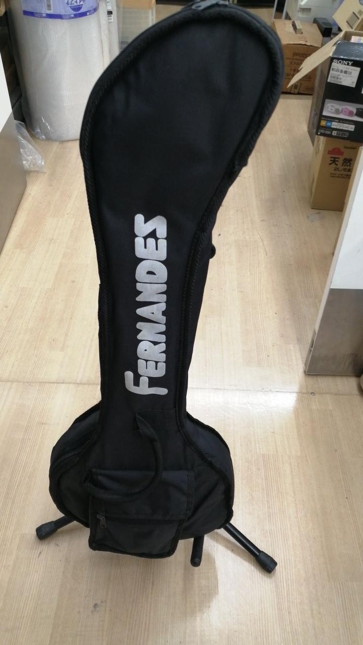 FERNANDES ZO-3 Electric Guitar-02
