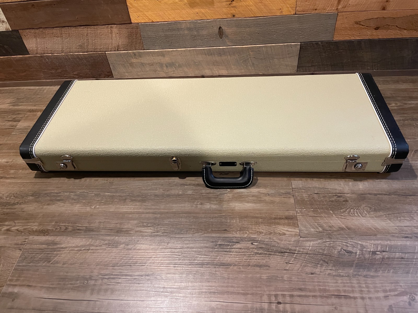 Fender Eric Johnson Thinline Stratocaster | Vega Trem Barden S-Style | MODS