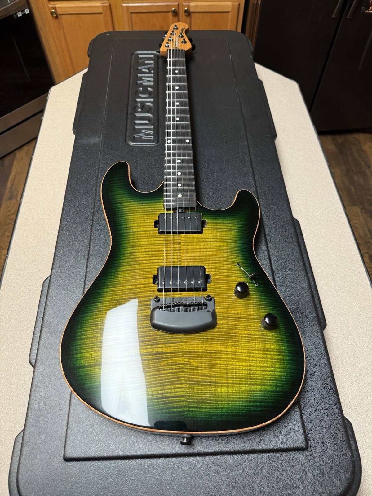 2021 Ernie Ball Sabre- Gator Burst