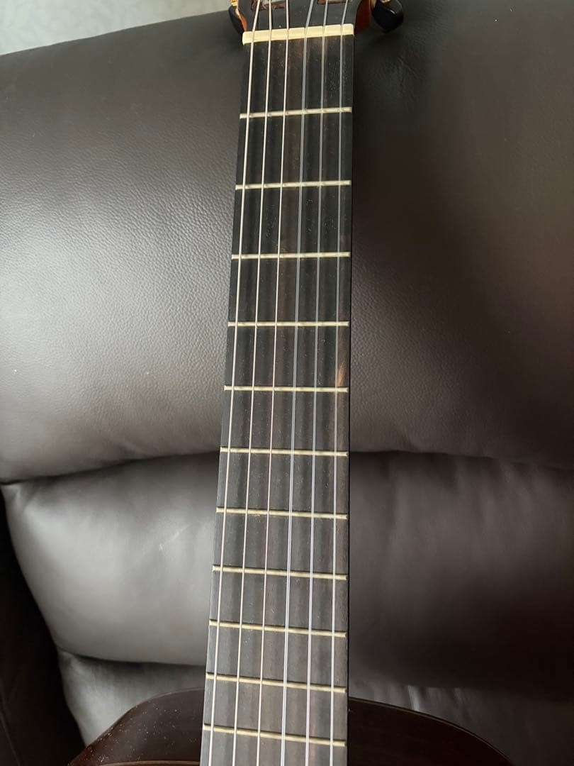 Martinez hauser with case