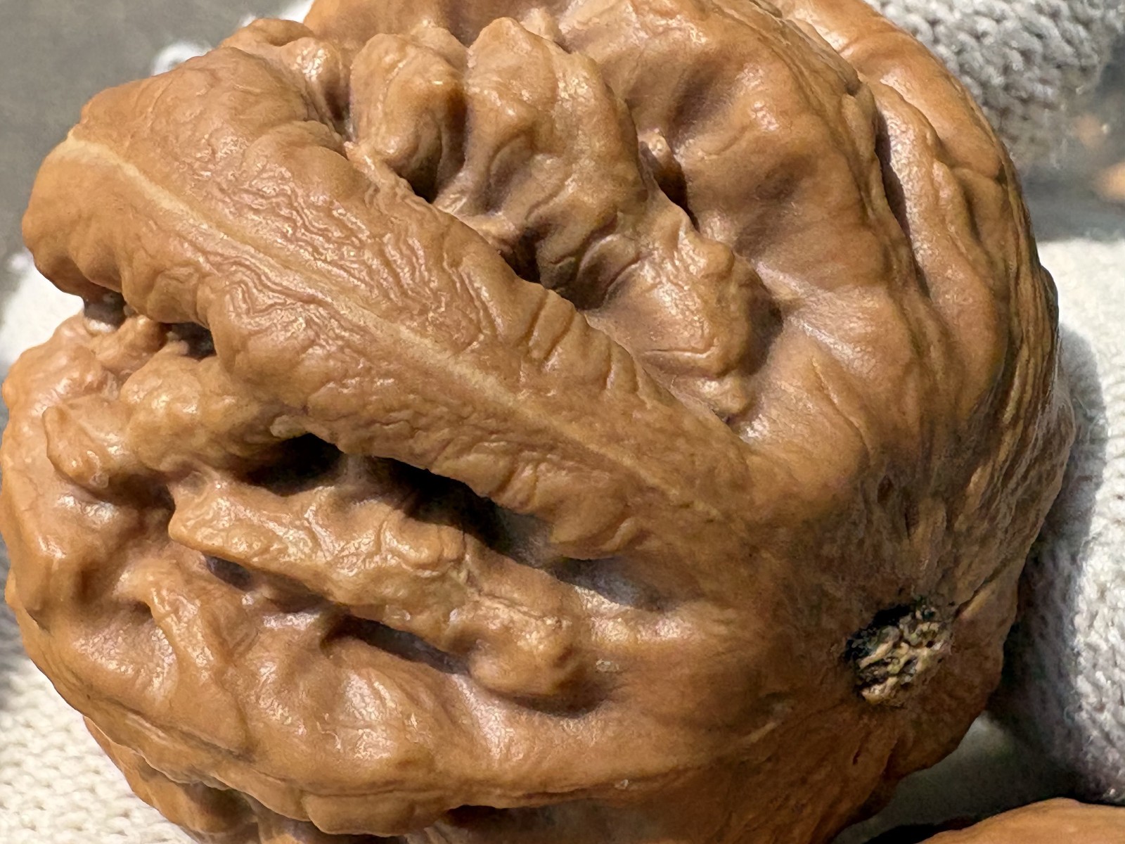 Hand Massage ball Wenwan walnut T-rex Thick Ridge Ba Wang Long Qiu Zi