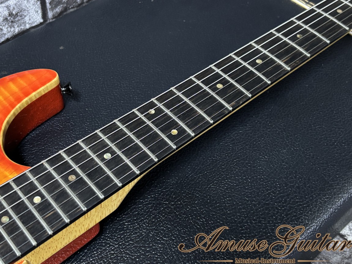 Zion The Classic Sunburst 1993 Flame Maple Top Kahler Steeler Tremol w HC 3.73kg