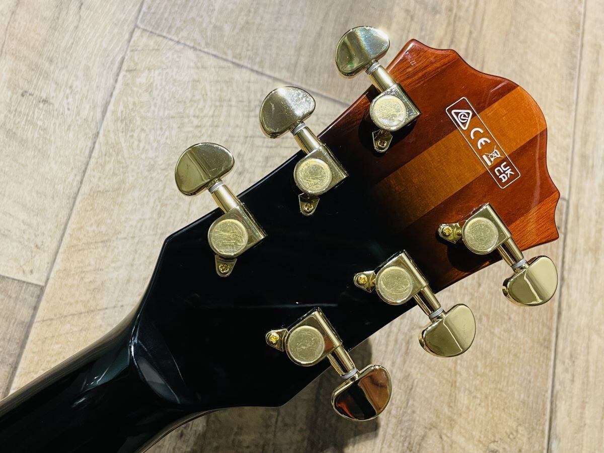 Ibanez Electric Guitar Semi Acoustic AS113B-TBC Tobacco Brown From JAPAN