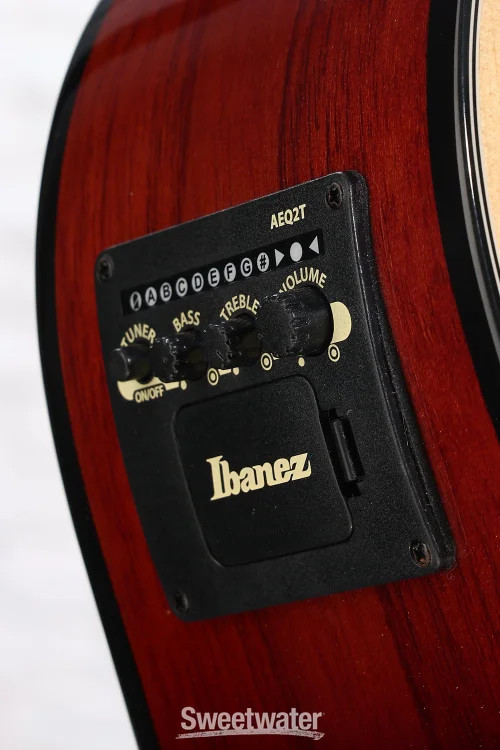 Ibanez PN50 Acoustic-electric Guitar – Open Pore Natural