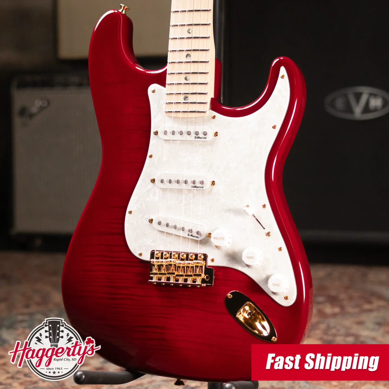 Fender Richie Kotzen Stratocaster, Maple Fingerboard Electric Guitar – Transpare