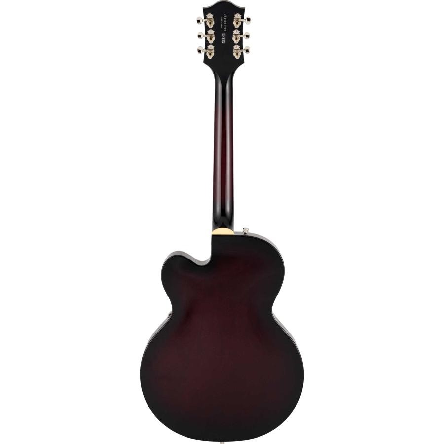 GRETSCH G6119T-62 Dark herry Stain full acoustic guitar Please heck deli date