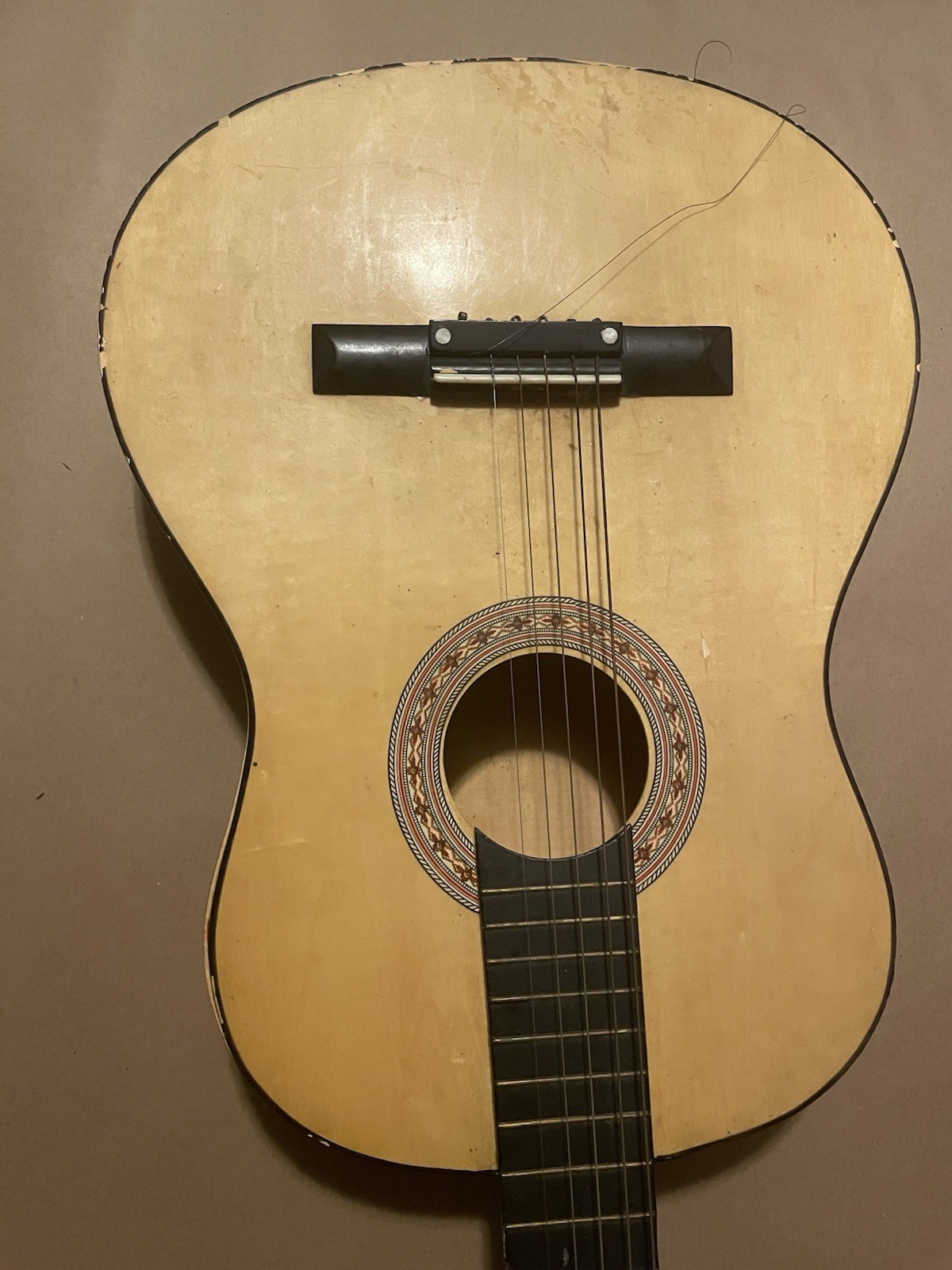 Goodlin Vintage Guitar – Rare Find, Great Condition, Warm Tone