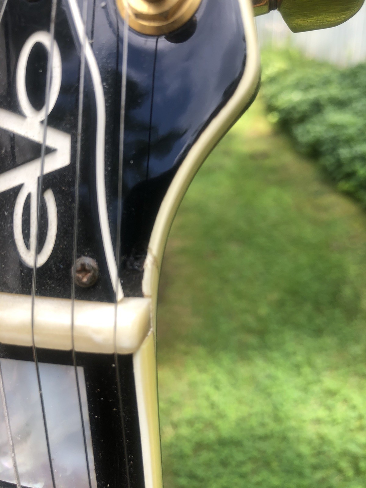 Dean Czech Evo Premium