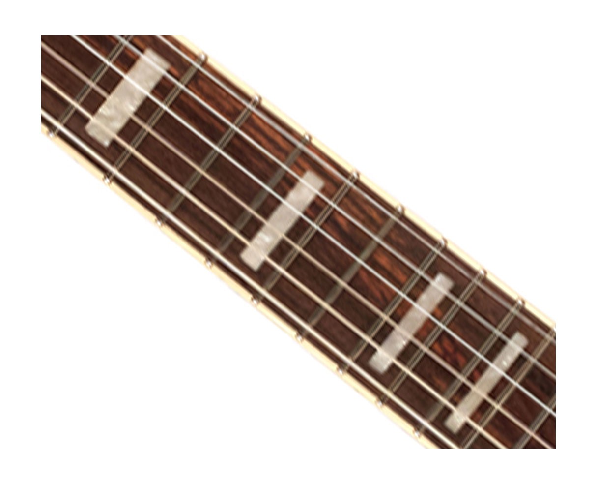 Guild Polara Kim Thayil Signature Guitar – Black – Open Box