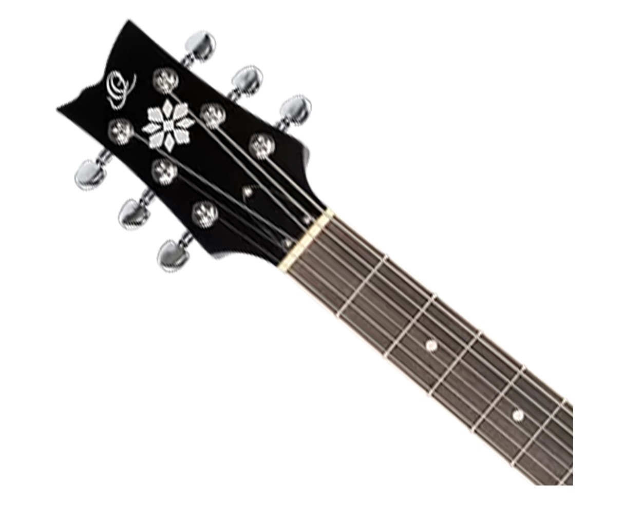 Ortega Guitars OBJE356-SBK-L Raven Series LH 6-String A/E Banjo – Black Open Box
