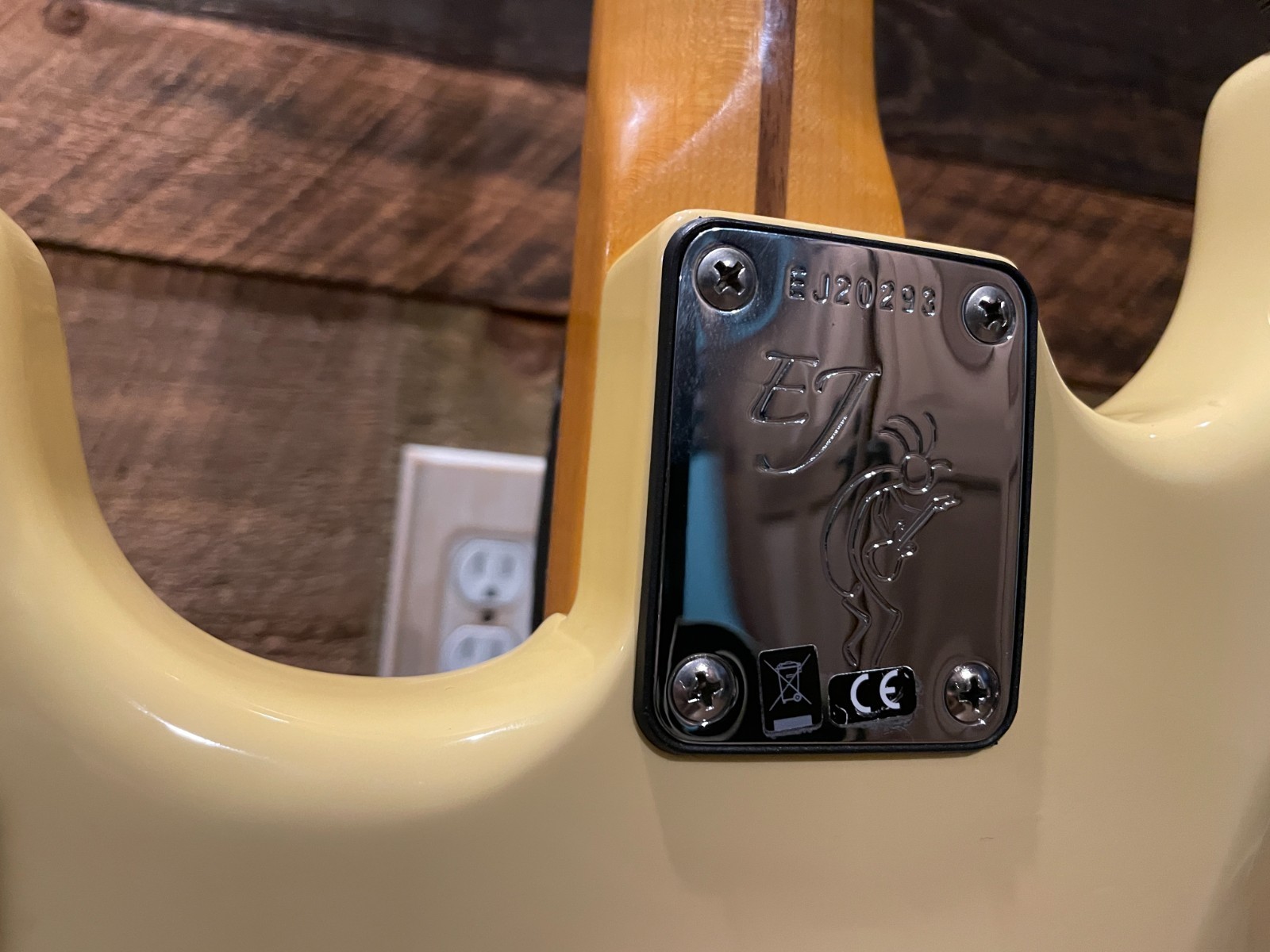 Fender Eric Johnson Thinline Stratocaster | Vega Trem Barden S-Style | MODS