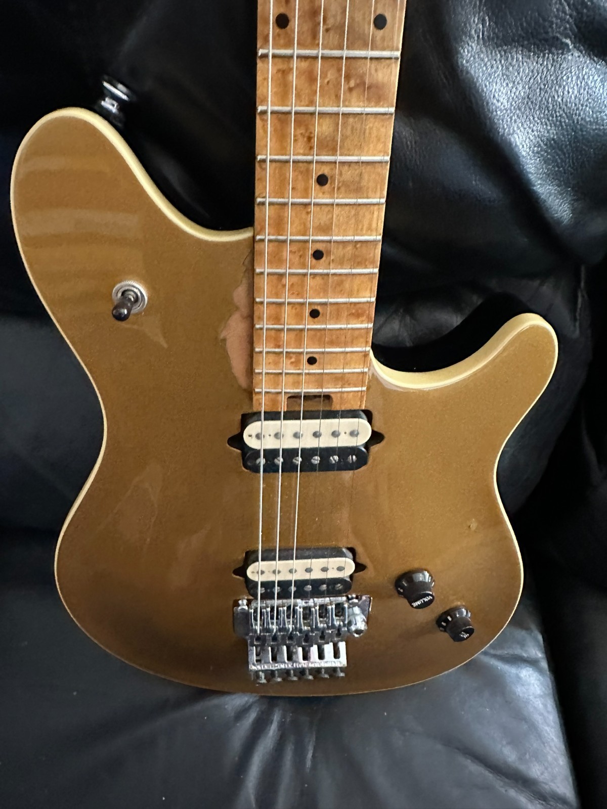 Peavey Wolfgang Eddie Van Halen Signature Floyd 1997 Goldtop and case!