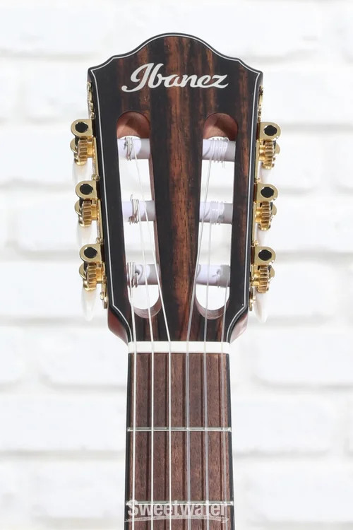 Ibanez FRH10N Thinline Nylon Acoustic-electric Guitar – Indigo Blue Metallic