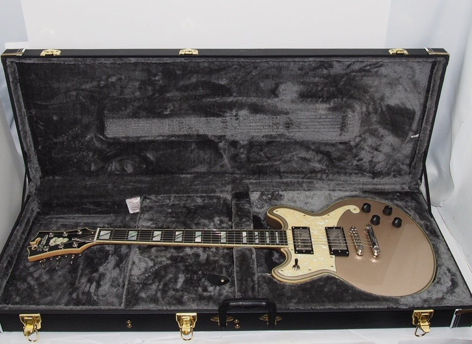 D’Angelico Deluxe Brighton Electric Guitar Wg5180 With Hard Case No.YG878