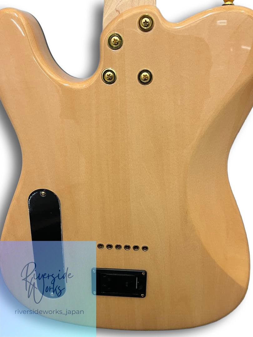 Aria Pro II TEG-780 with Warranty and Gig Bag Ready to Ship