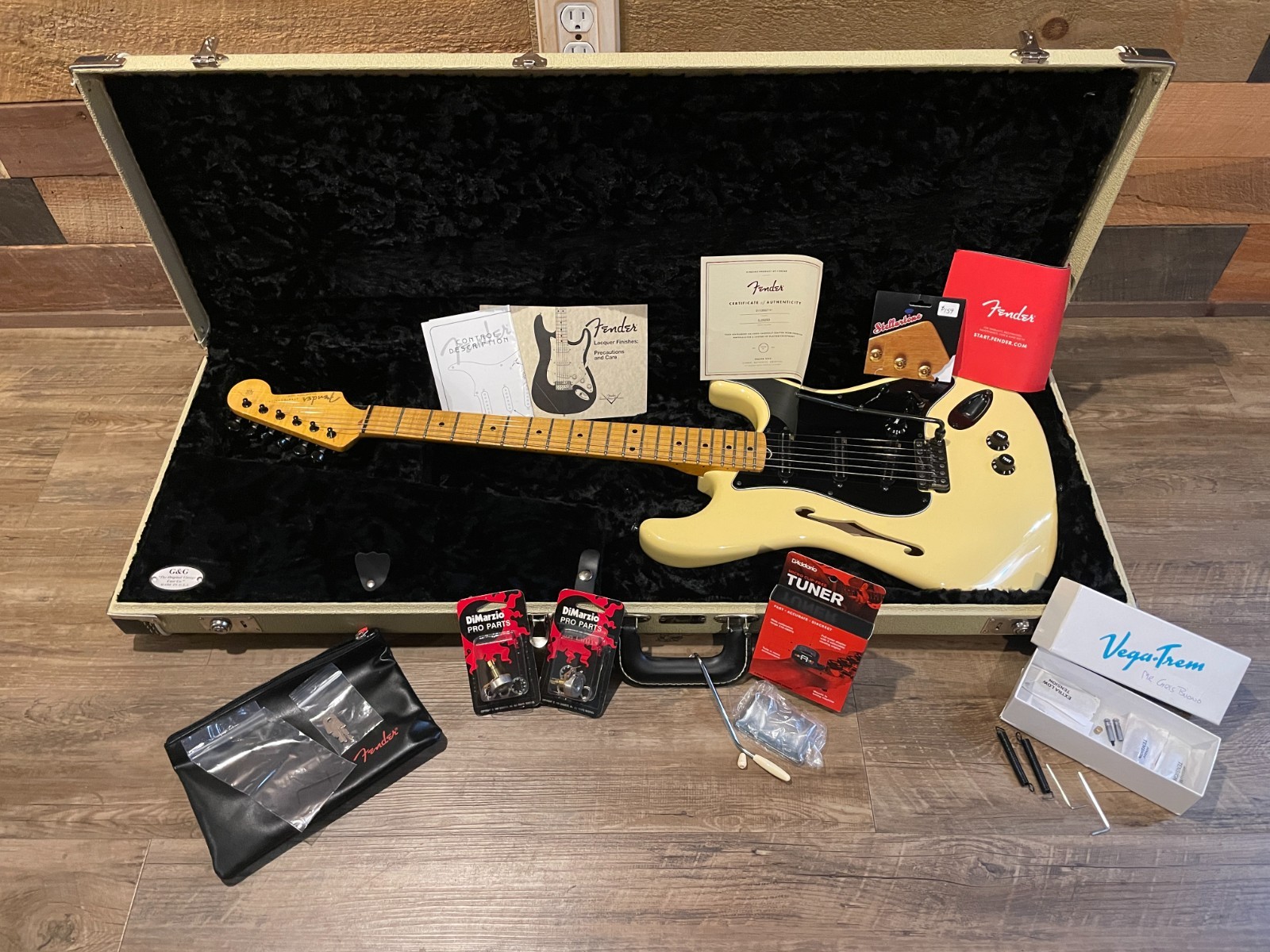 Fender Eric Johnson Thinline Stratocaster | Vega Trem Barden S-Style | MODS