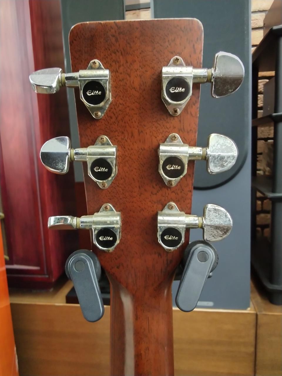 TAKAMINE ELITE TW-40 acoustic guitar