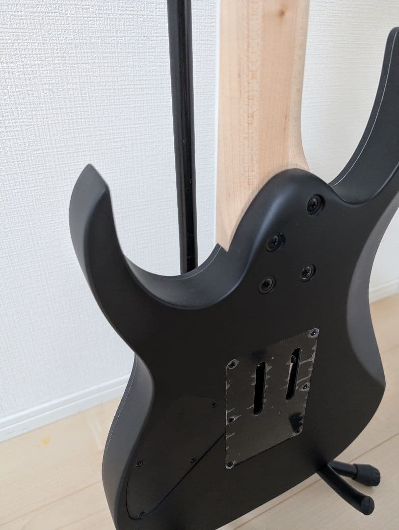 Ibanez RG7420EX-BKF 7-String Electric Guitar