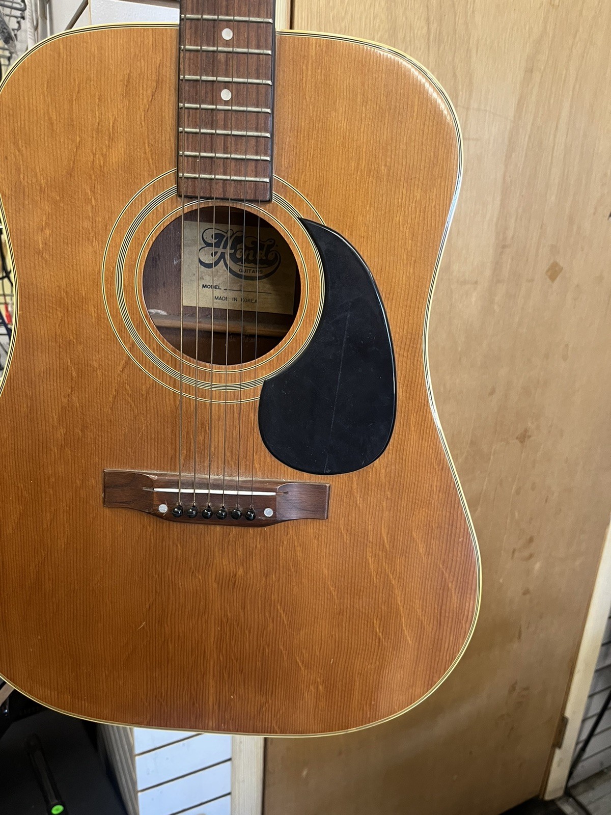 Hondo Vintage Acoustyic Guitar Made In Korea W/Hardshell Case