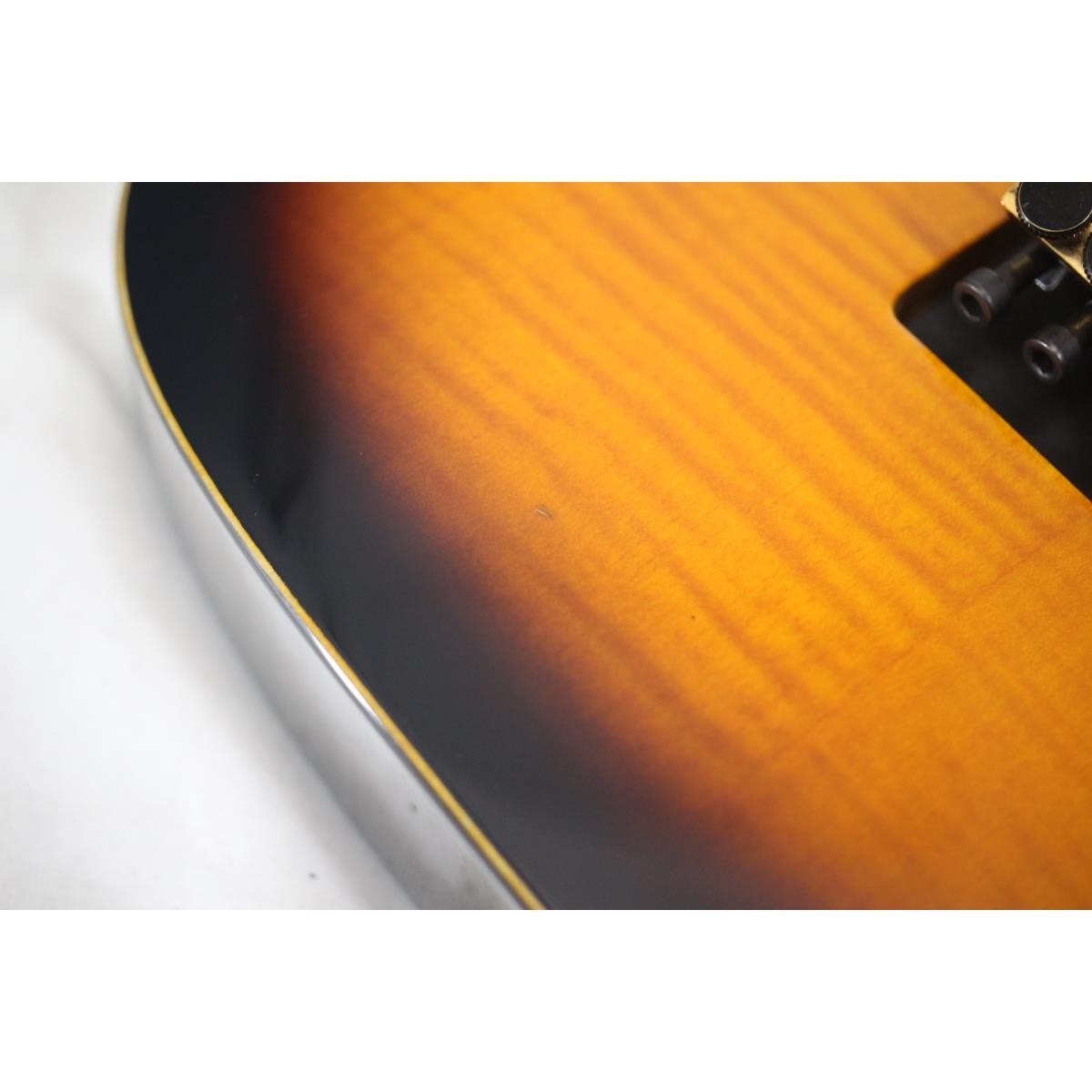 Authentic FERNANDES FR-STANDARD #270-004-111-8280
