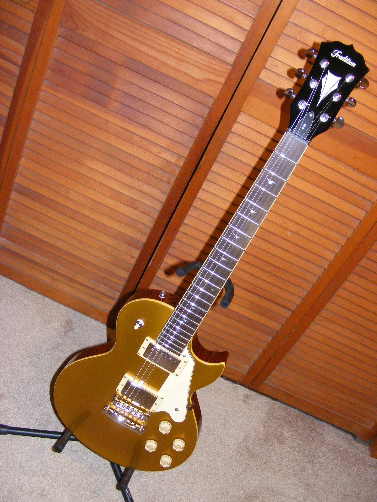 Traditions Guitars S20 2009 NEW OLD STOCK Made in Korea, Hard Shell Case