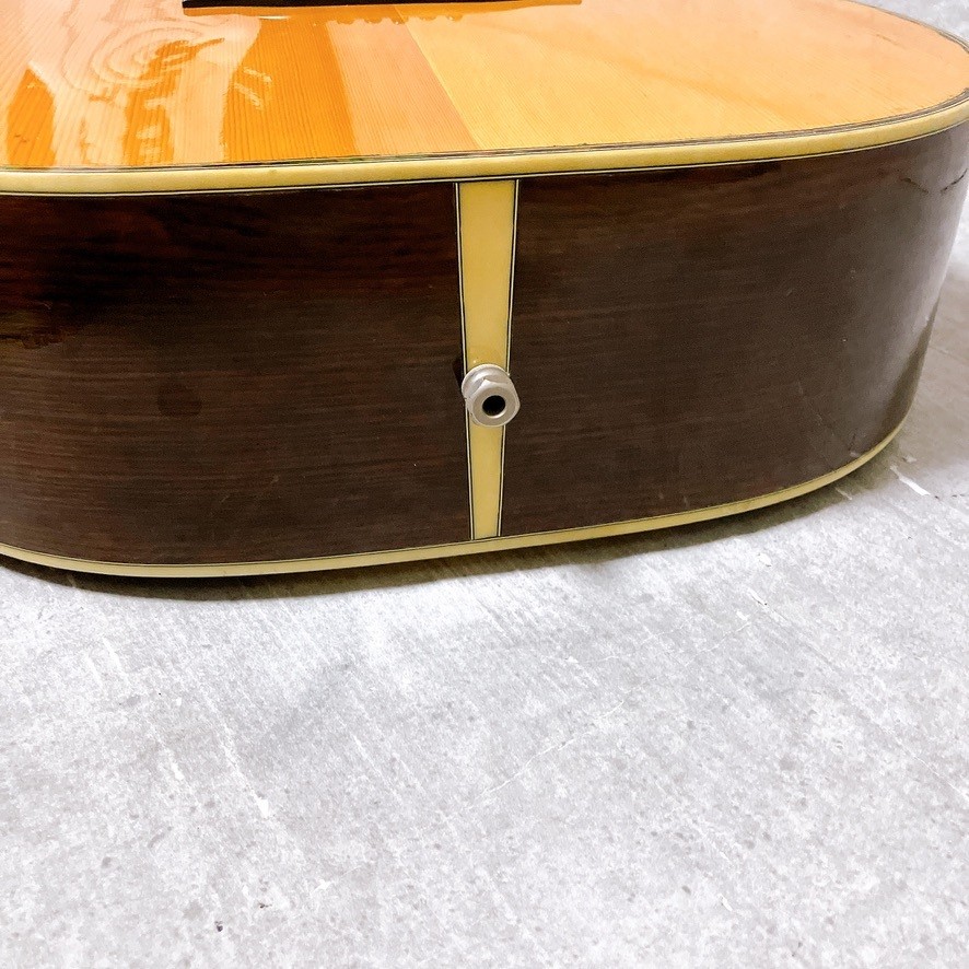 Morris Acoustic Guitar W-40 Jacaranda String Instrument Acoustic Guitar Morris