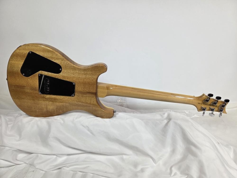PAUL REED SMITH – PRS CUSTOM SE (P25022738)
