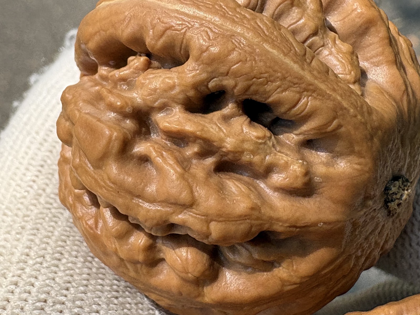 Hand Massage ball Wenwan walnut T-rex Thick Ridge Ba Wang Long Qiu Zi