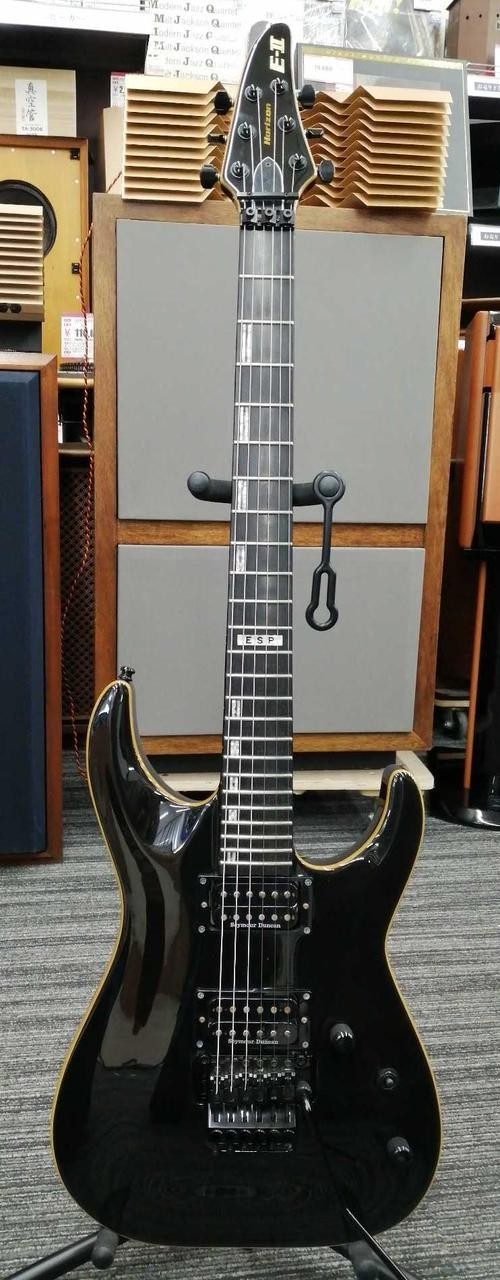 E-Ⅱ HORIZON FR electric guitar