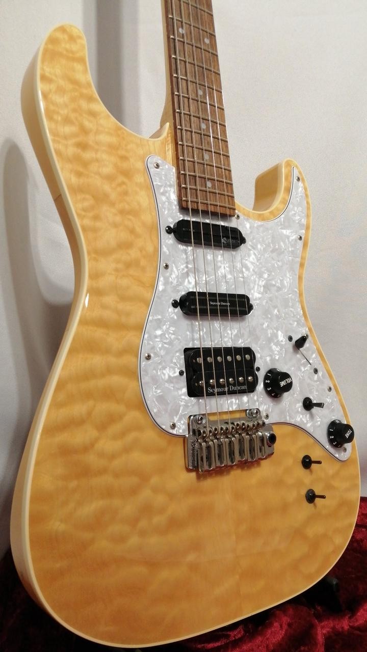 FERNANDES REVOLVER CLASSIC SERIES Stratocaster type