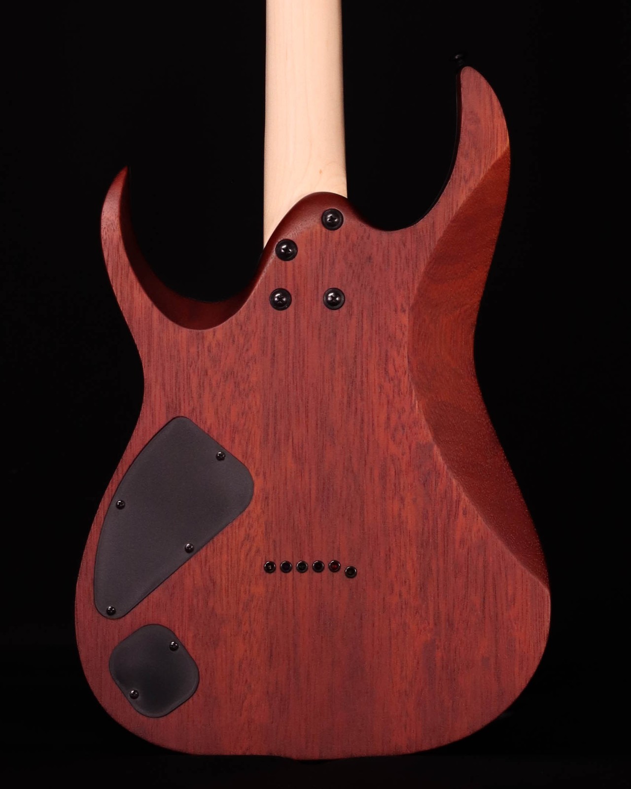 Ibanez RGA42FM Flame Maple Top Electric, Dragon Eye Flat