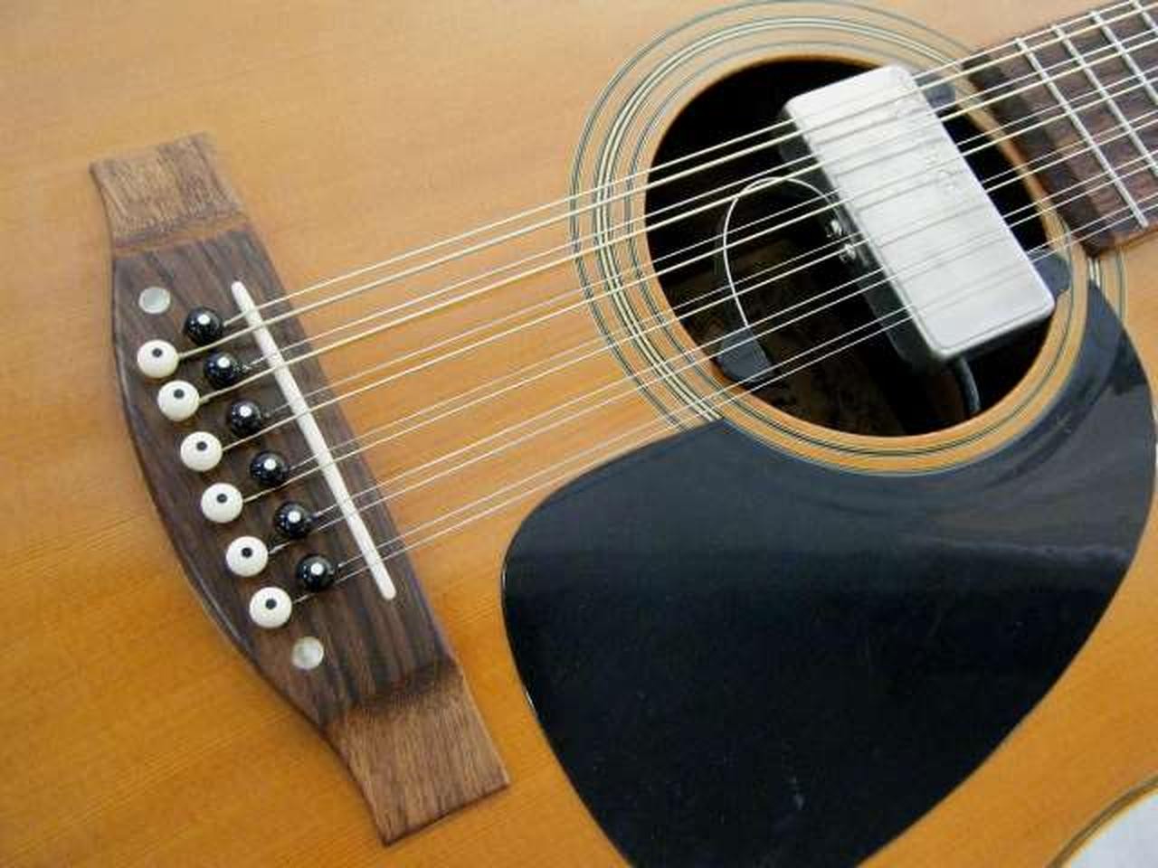 Takamine Elite WG20 MIJ 12-String Acoustic Guitar Vintage Japan