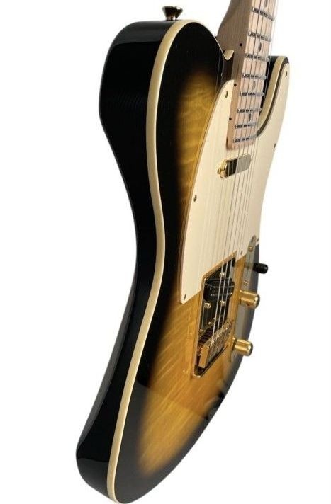 Fender Richie Kotzen Telecaster Electric Guitar Flame Maple Heather Tiger Condit