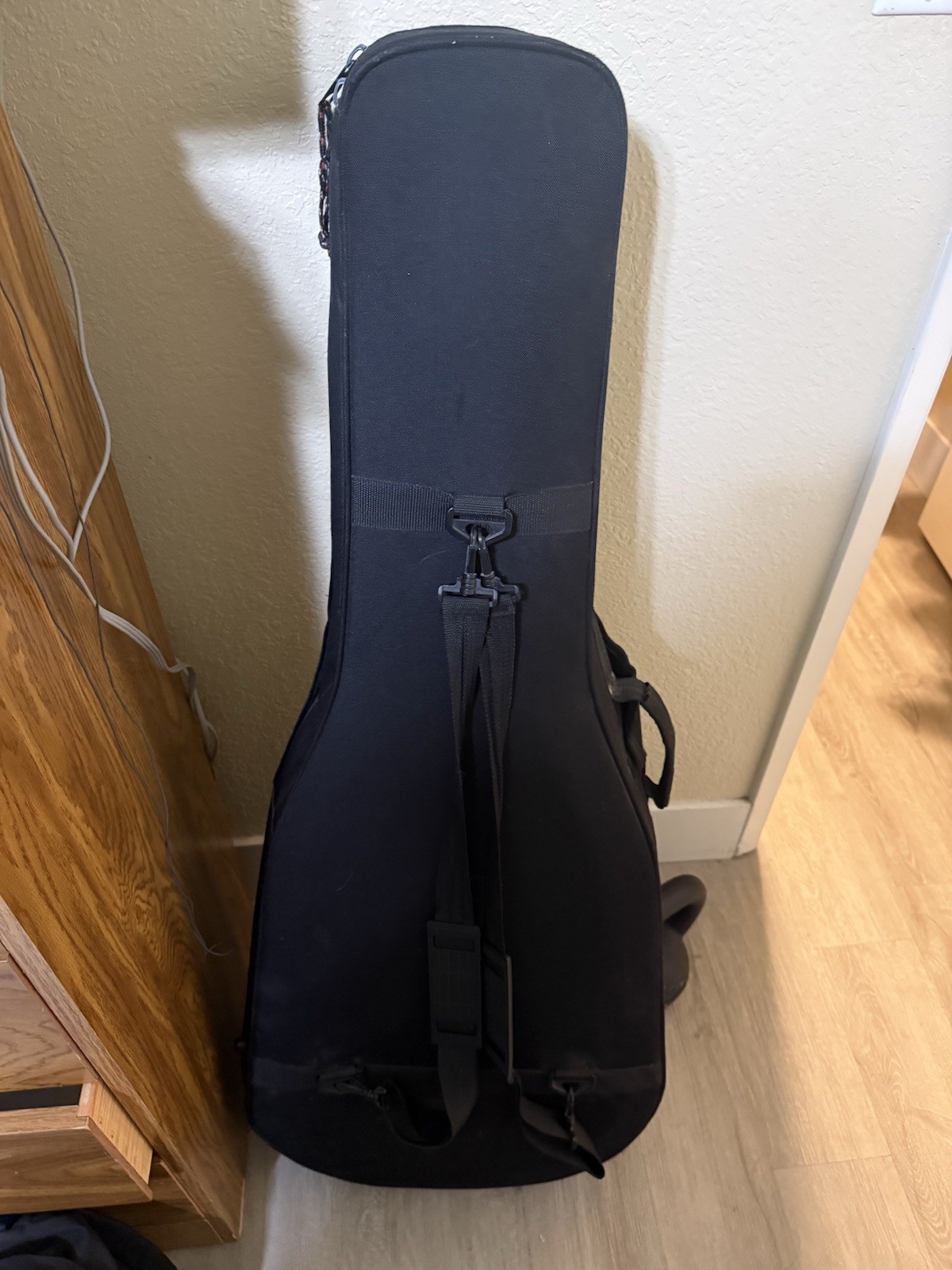 Ibanez EW20ZWENT1201 Acoustic Electric Guitar With Hard Case LOCAL PICKUP ONLY
