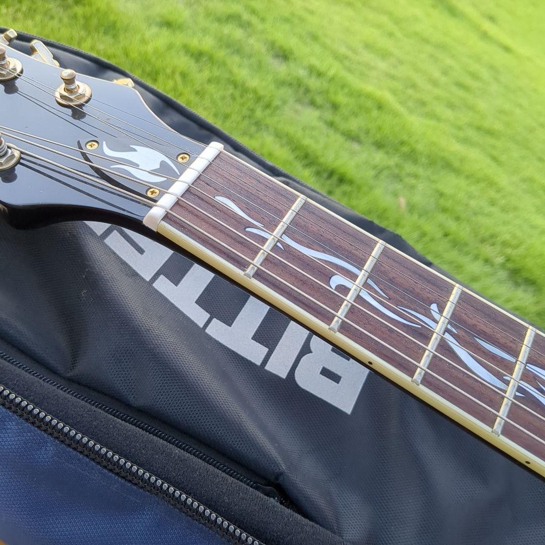 Michael Kelly Semi-Acoustic Guitar Special Gig Bag With Strap