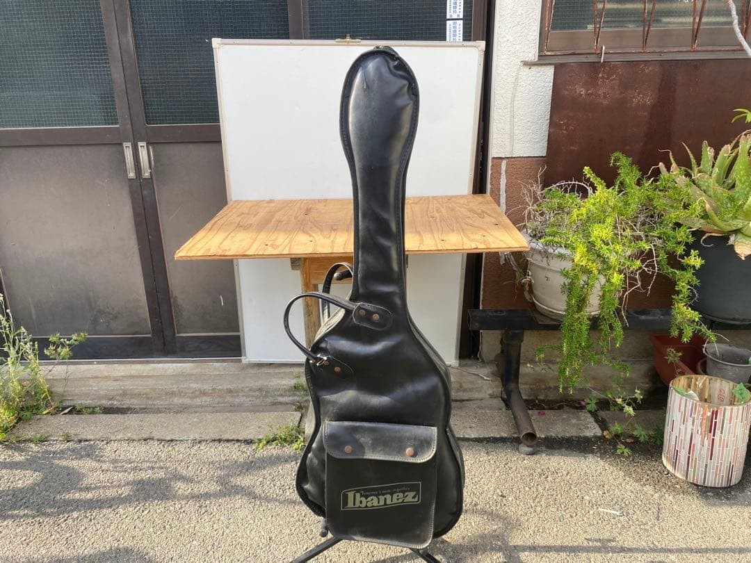 Ibanez RG-550 Electric Guitar Soft Case Included