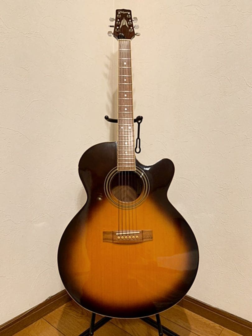 Takamine Acoustic Guitar