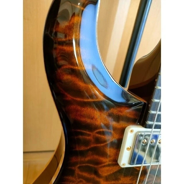 Acoustic Electric Guitar PRS Paul Reed Smith Private Stock Jacaranda SN 14206115