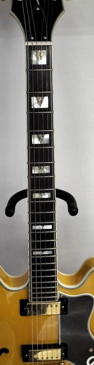 EPIPHONE SHERATON electric guitar