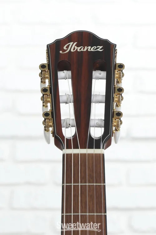 Ibanez FRH10N Thinline Nylon Acoustic-electric Guitar – Rose Gold Metallic Flat