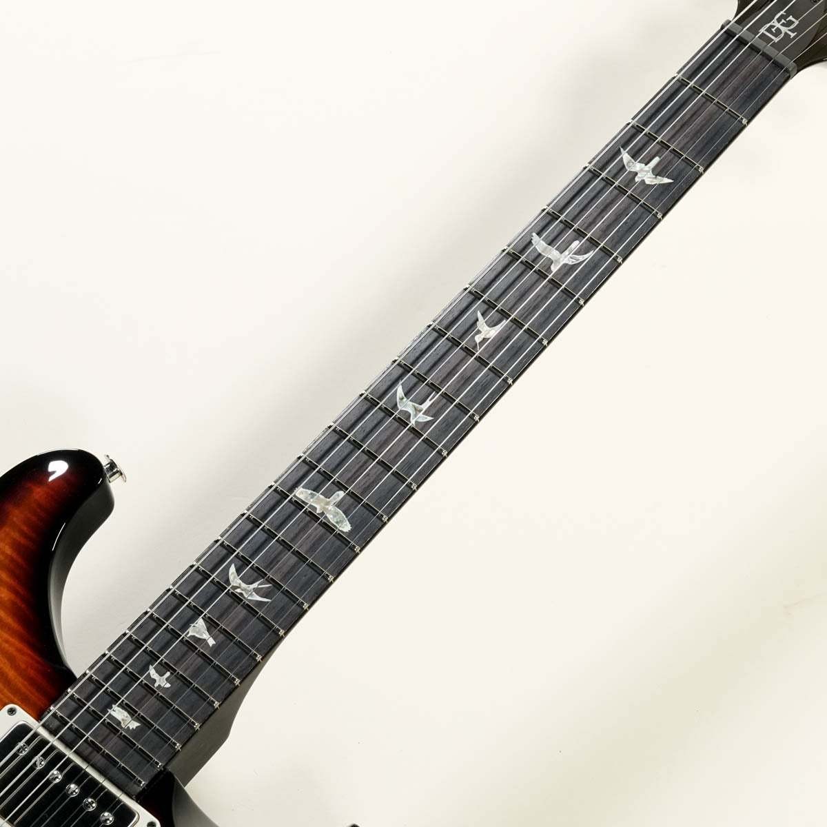 Paul Reed Smith PRS 2024 DGT Birds Inray Custom Color