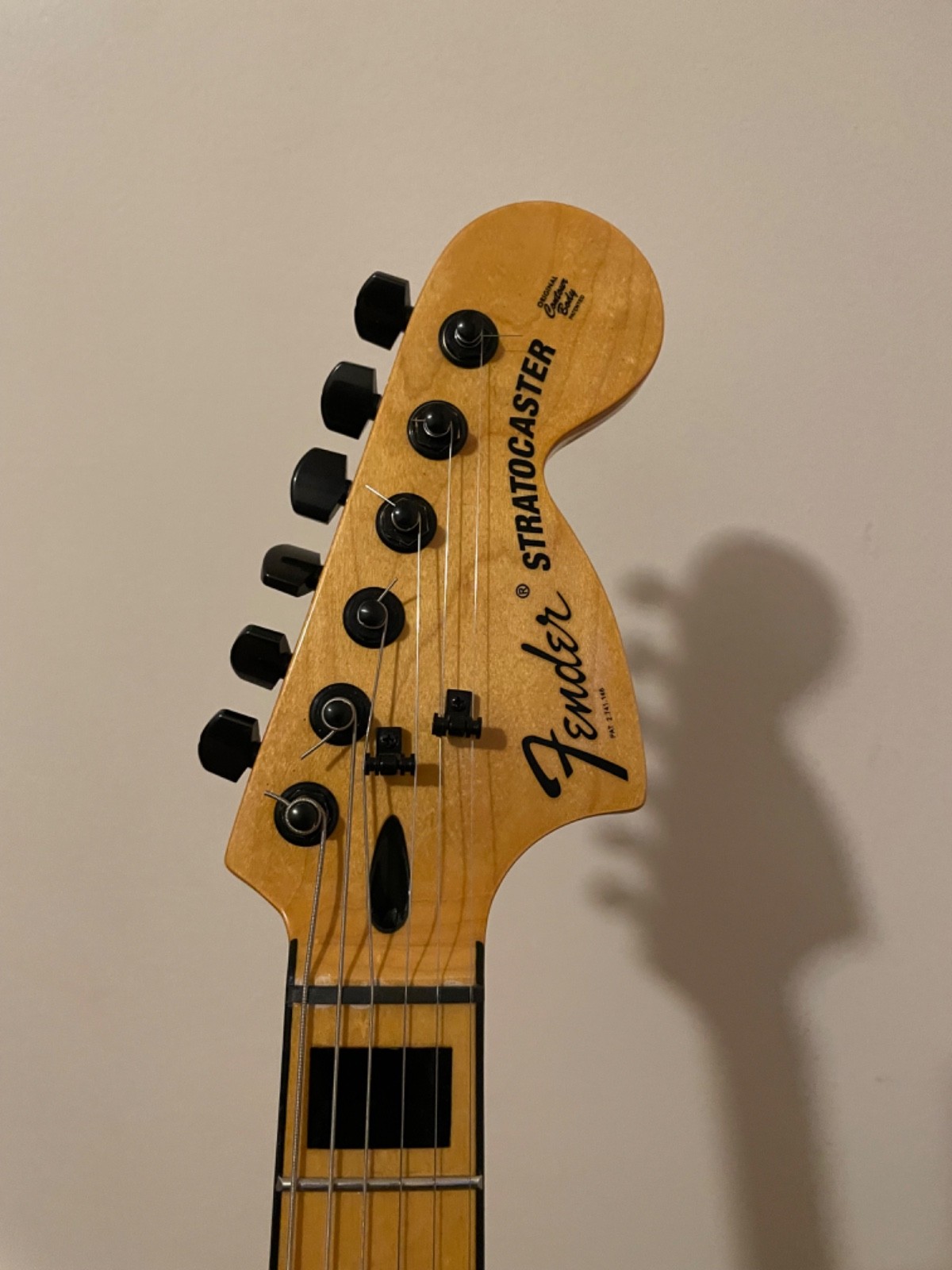 Eddy Dixon supeoior thinline Stratocaster