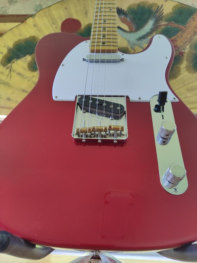 Fender Snakehead Telecaster 16 inch radius NECK FREE SHIPPING.