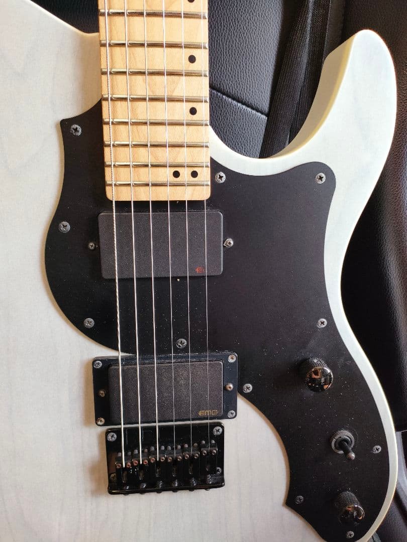 Fujigen Fgn J-Standard Jil2-Ash-De-M