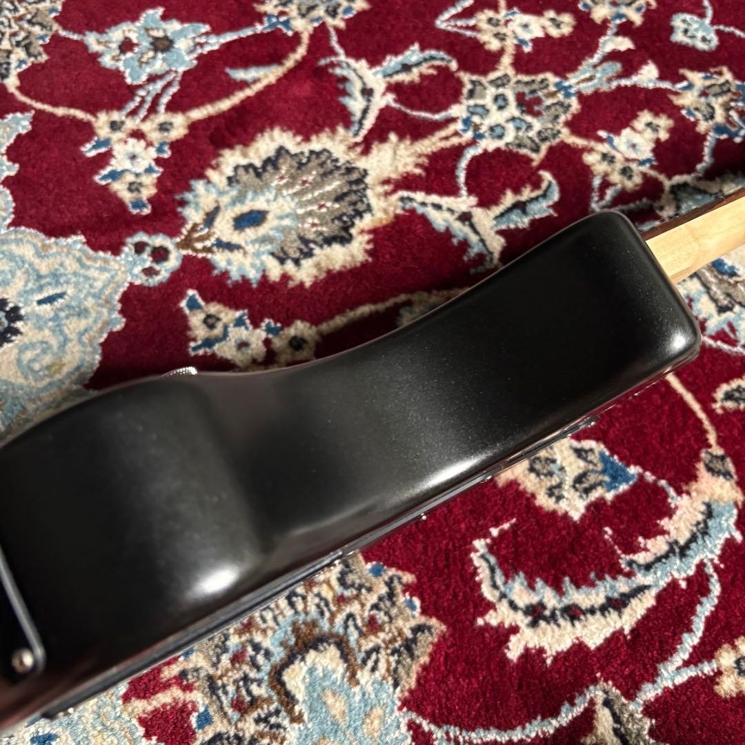 [Rare] FERNANDES DIGI-ZO Hyper Matte Black Discontinued Product