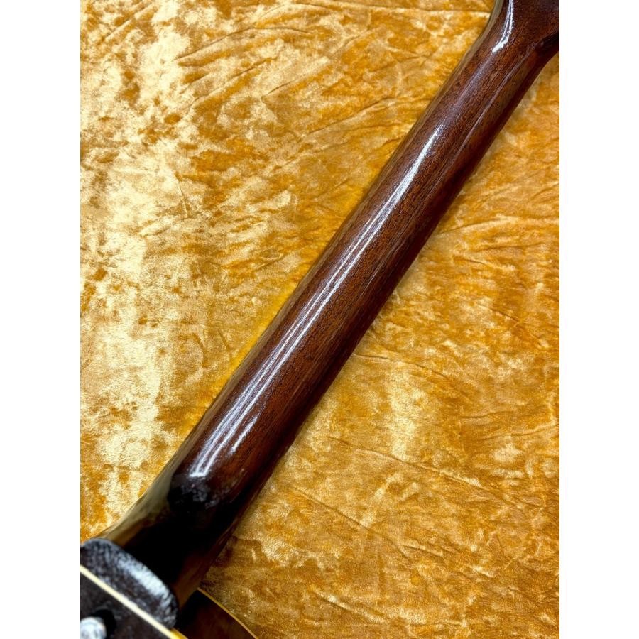 KING SNAKE Curtis Deep Body Tobacco Burst with hard case
