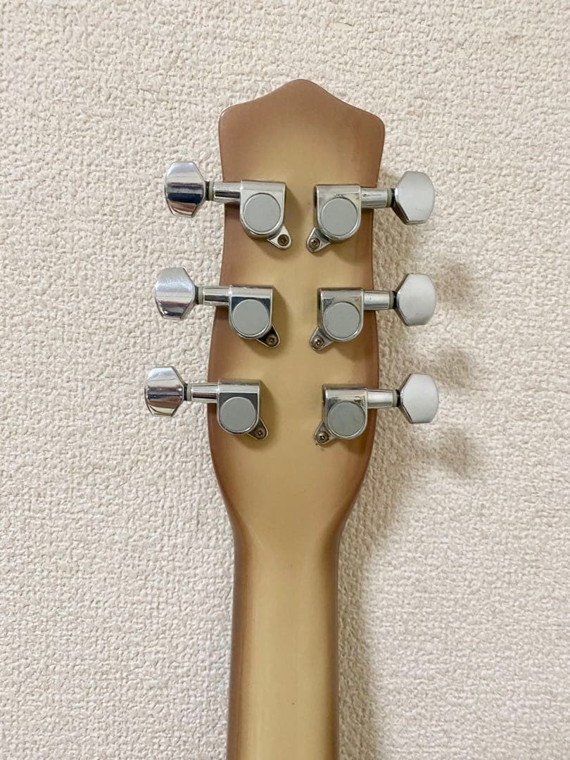 Danelectro Longhorn 31 Fret Color