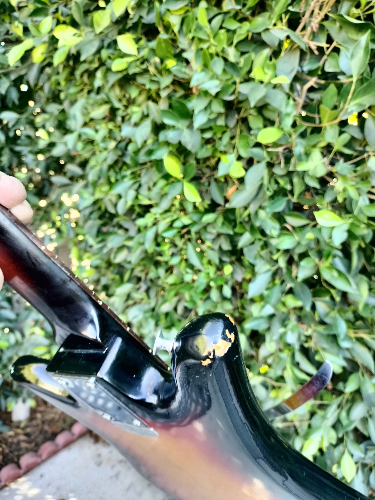 Teisco Del Rey ET-200 Tulip