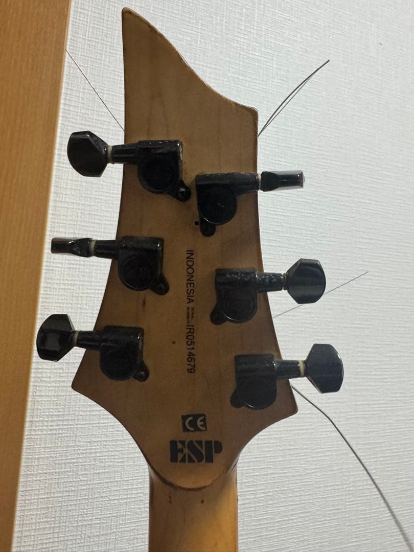 ESP ltd electric guitar forest Safe packing!